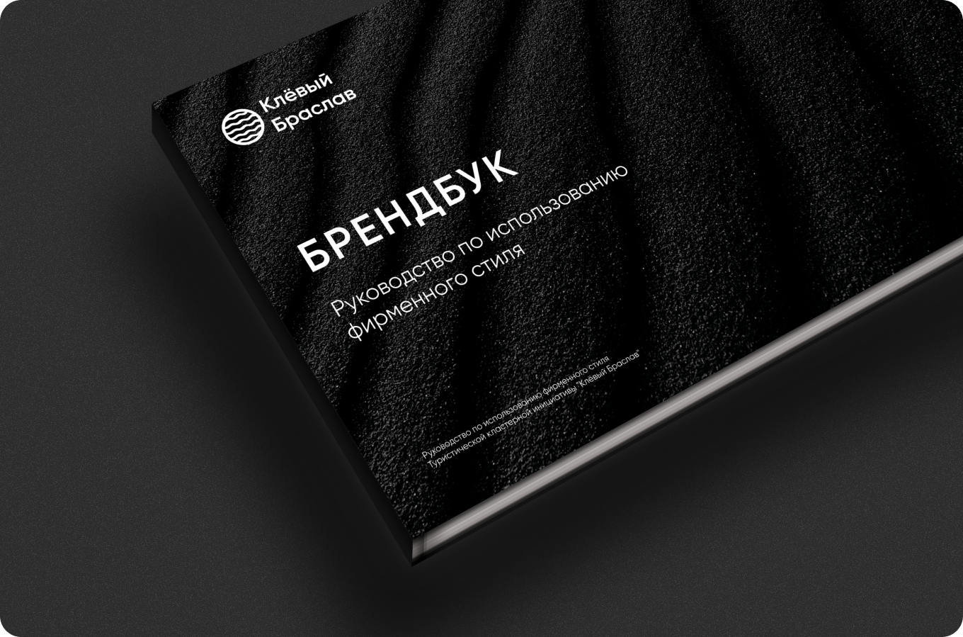 brandbookBraslav-img-1